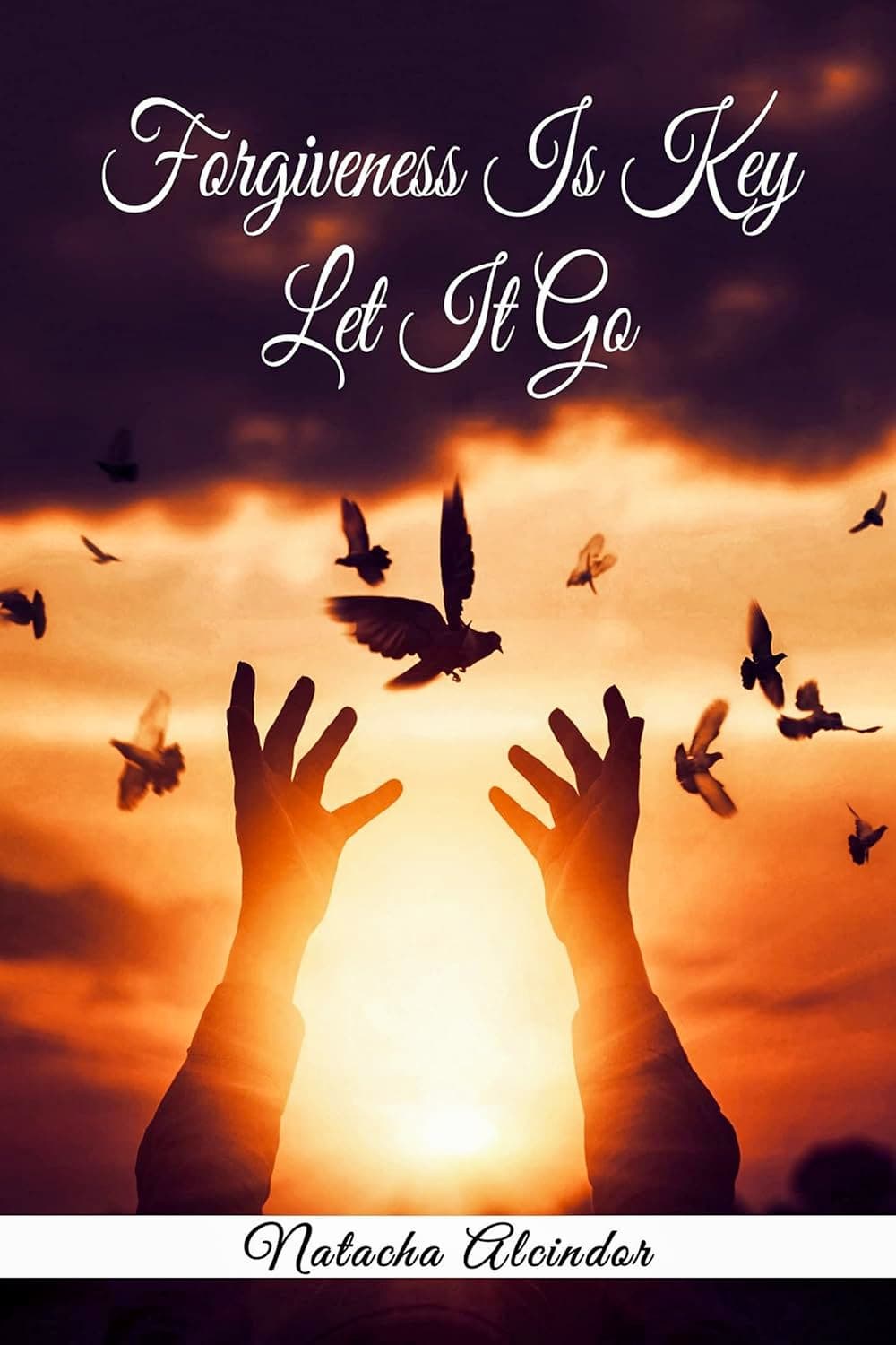 Cover of Forgiveness Is Key Let it Go!